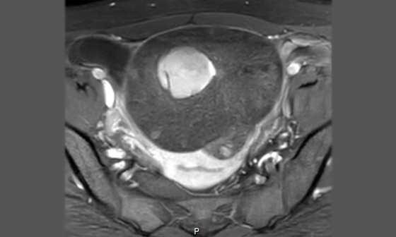 Star Imaging and Research Centre Medical case list